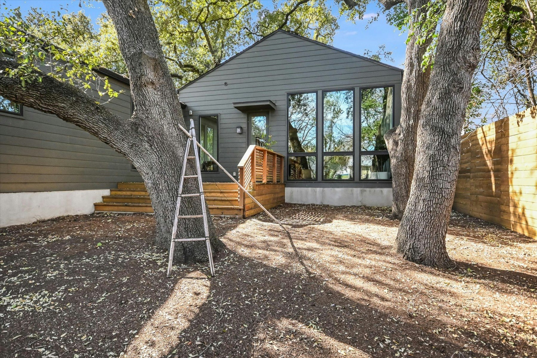 31 back.jpg?ixlib=rb 3.2